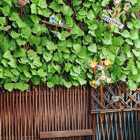 Chryssa - χρυσα * פאטרה