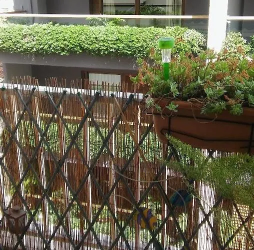 Chryssa - χρυσα