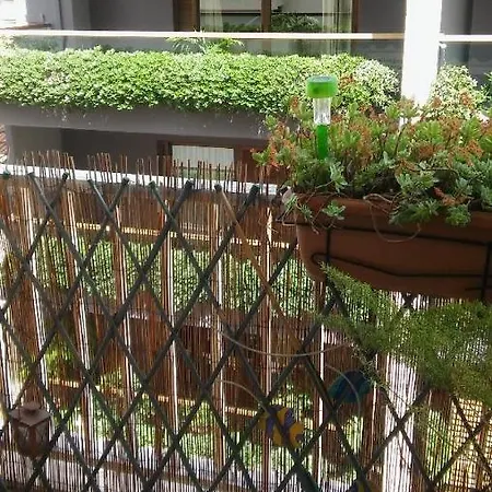 Chryssa - χρυσα