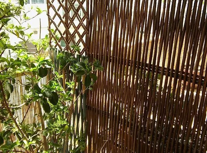 Chryssa - χρυσα Apartamento *